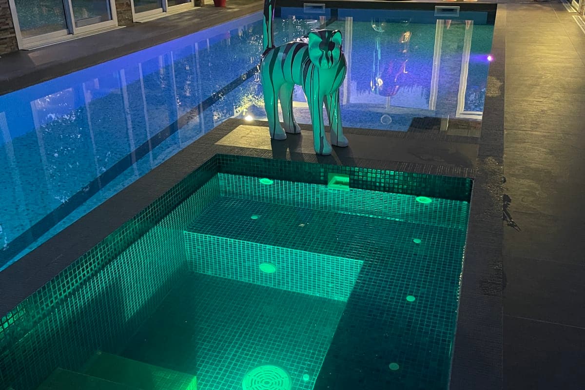 Piscine Intérieure Jardin. Option Jaccuzzi Hammam - Photo 1