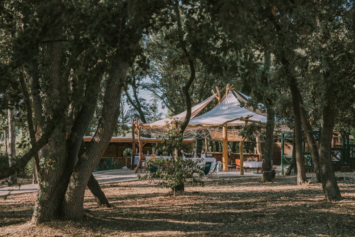 Salle de réception - Photo 1